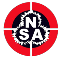 NSA Logo